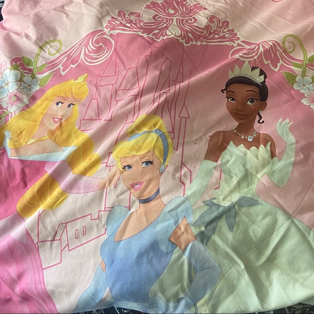 Twin size princess bedding and wall art